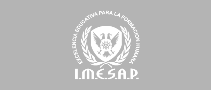 Instituto Mexicano de Estudios Superiores para la Actualización de Profesionales
