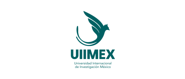 Universidad Internacional de Investigación México