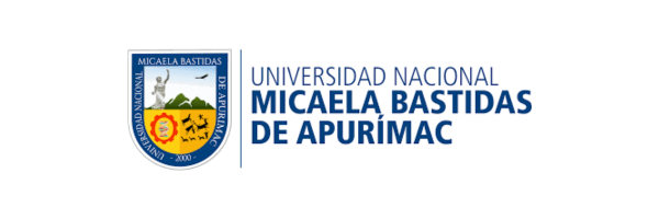 Universidad Nacional Micaela Bastidas de Apurímac