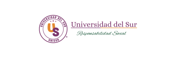 Universidad del Sur